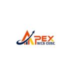 Apex Web Cube