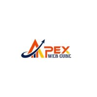 Apex Web Cube
