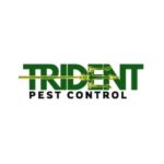 Trident Pest Control